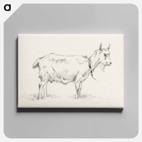 アートパネル-Standing goat - ジャン ベルナール Canvas.