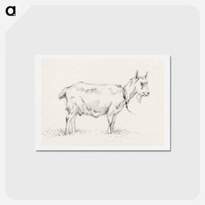 アートポストカード-Standing goat - ジャン ベルナール Postcard.