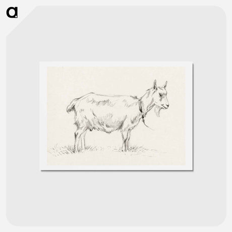 アートポストカード-Standing goat - ジャン ベルナール Postcard.