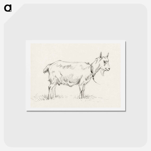 アートポストカード-Standing goat - ジャン ベルナール Postcard.