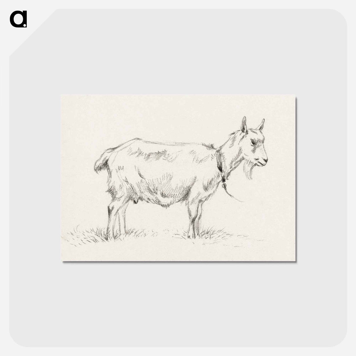 アートポストカード-Standing goat - ジャン ベルナール Postcard.