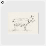 アートポストカード-Standing goat - ジャン ベルナール Postcard.
