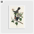 アートポストカード-Cat Bird
 - ジョン ジェームス オーデュボン Postcard.