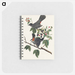アートメモ帳-Cat Bird
 - ジョン ジェームス オーデュボン Memo.