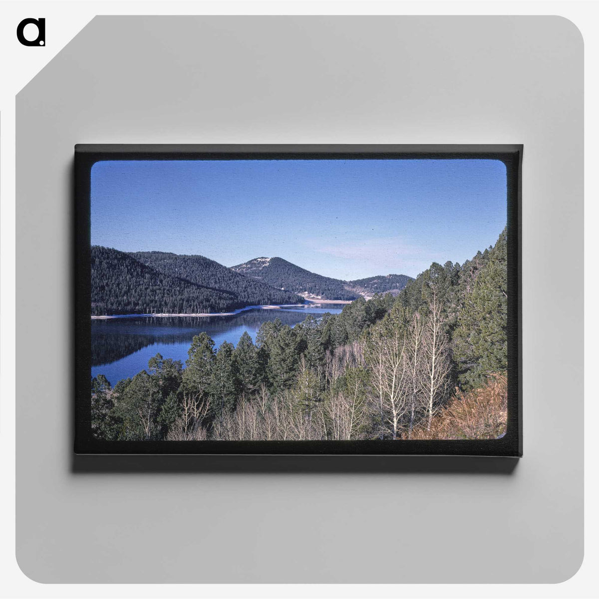 3-73_John-Margolies_canvas