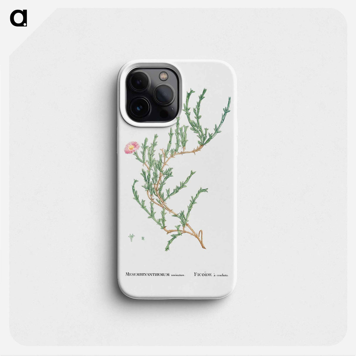 Mesembryanthemum Uncinatum (Ruschia Uncinata) - Pierre Joseph Redouté Phone Case.