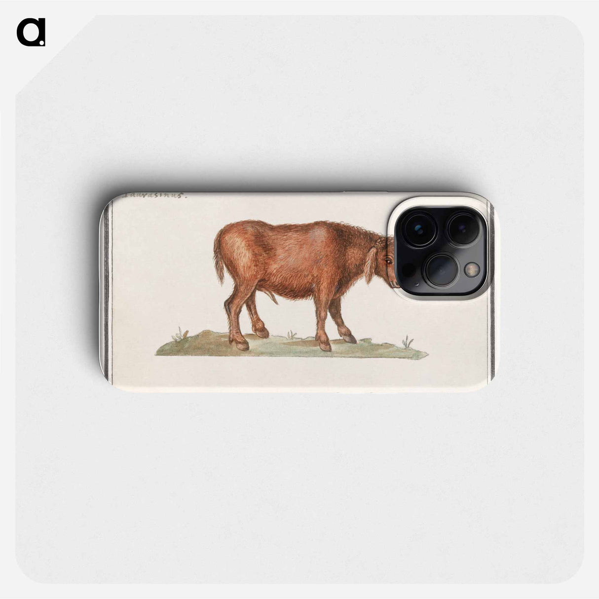 Brazilian cow - アンセルムス ボエティウス デ ブート Phone Case.