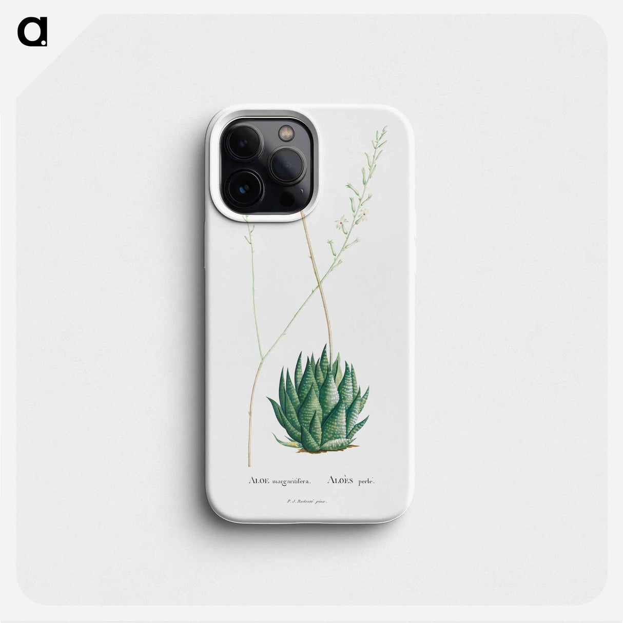 Aloe Margaritifera - ピエール ジョゼフ ルドゥーテ Phone Case.