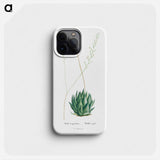 Aloe Margaritifera - Pierre Joseph Redouté Phone Case.