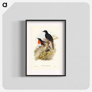 オーストラリア