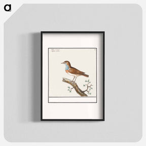 アートポスター-Bluethroat - アンセルムス ボエティウス デ ブート Poster.