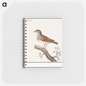 アートメモ帳-Bluethroat - アンセルムス ボエティウス デ ブート Memo.