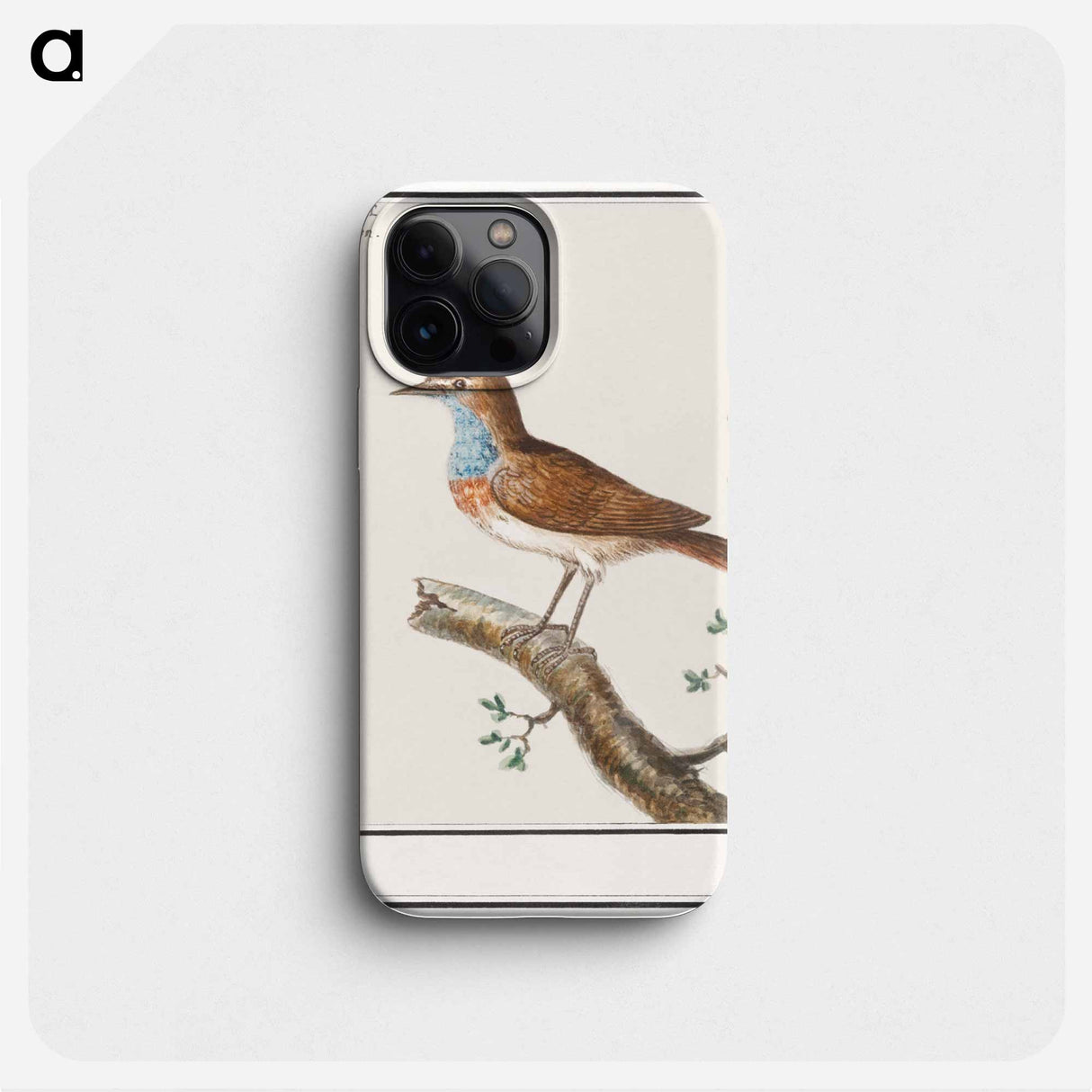 Bluethroat - アンセルムス ボエティウス デ ブート Phone Case.
