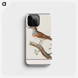 Bluethroat - アンセルムス ボエティウス デ ブート Phone Case.