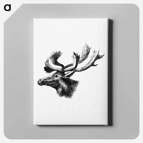 アートパネル-Moose from A Whaling Cruise to Baffin's Bay and the Gulf of Boothia
 - 大英図書館 Canvas.