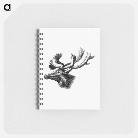 アートメモ帳-Moose from A Whaling Cruise to Baffin's Bay and the Gulf of Boothia
 - 大英図書館 Memo.