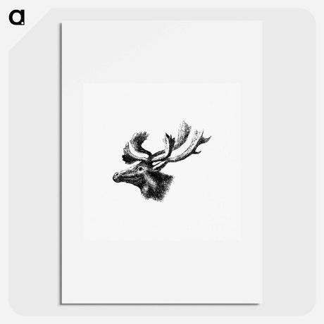アートポスター-Moose from A Whaling Cruise to Baffin's Bay and the Gulf of Boothia
 - 大英図書館 Poster.