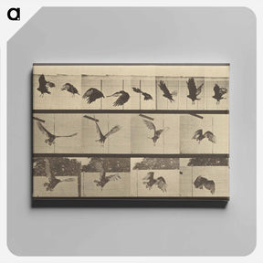 アートパネル-Animal Locomotion
 - エドワード マイブリッジ Canvas.