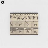 アートメモ帳-Animal Locomotion
 - エドワード マイブリッジ Memo.