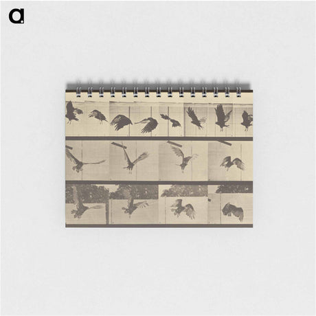 アートメモ帳-Animal Locomotion
 - エドワード マイブリッジ Memo.