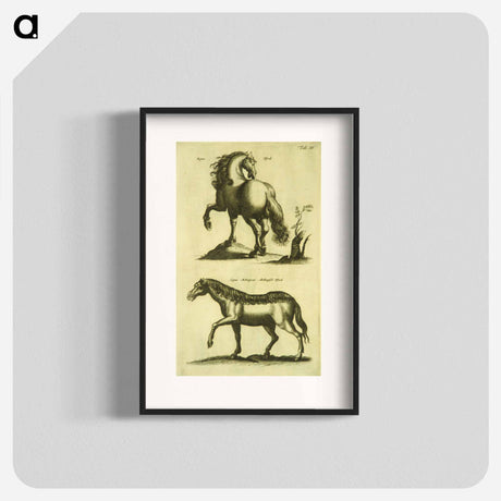 アートポスター-Herd Horses
 - 国立医学図書館 Poster.