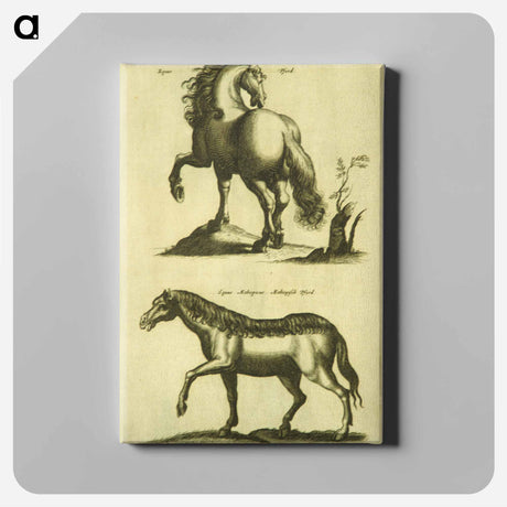 アートパネル-Herd Horses
 - 国立医学図書館 Canvas.
