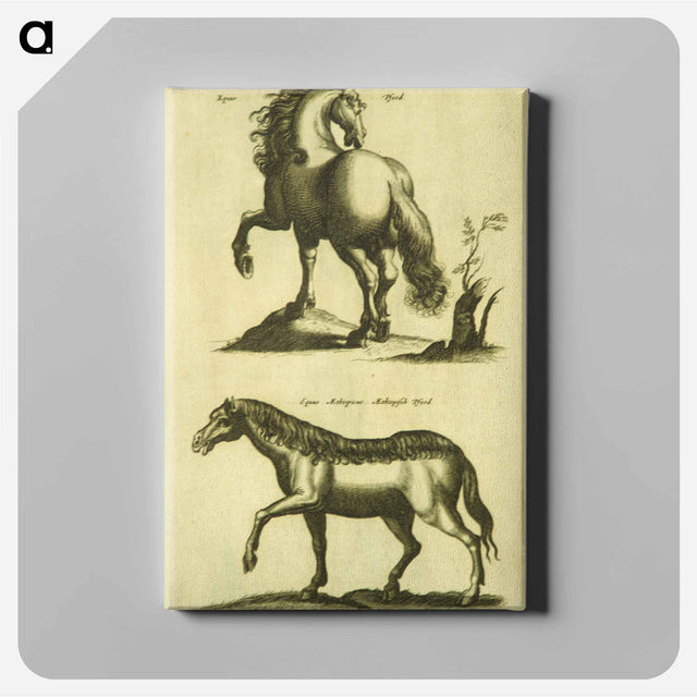 アートパネル-Herd Horses
 - 国立医学図書館 Canvas.