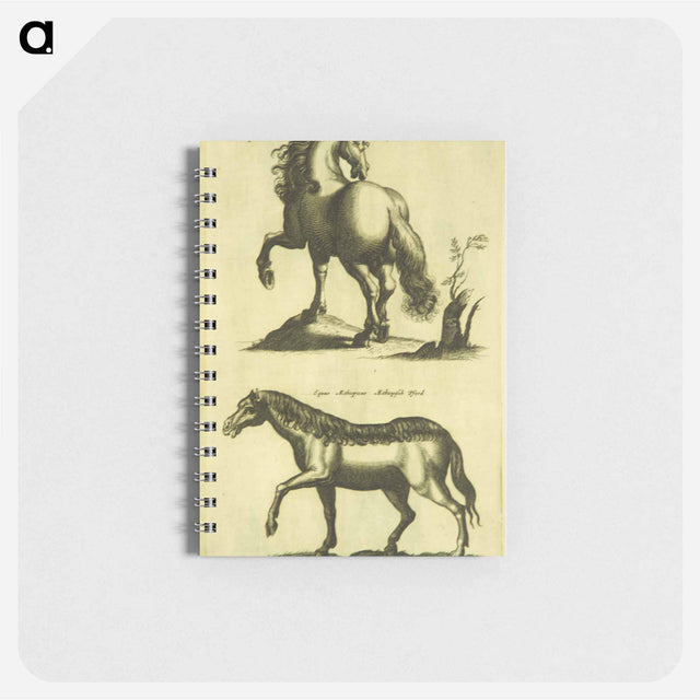 アートメモ帳-Herd Horses
 - 国立医学図書館 Memo.
