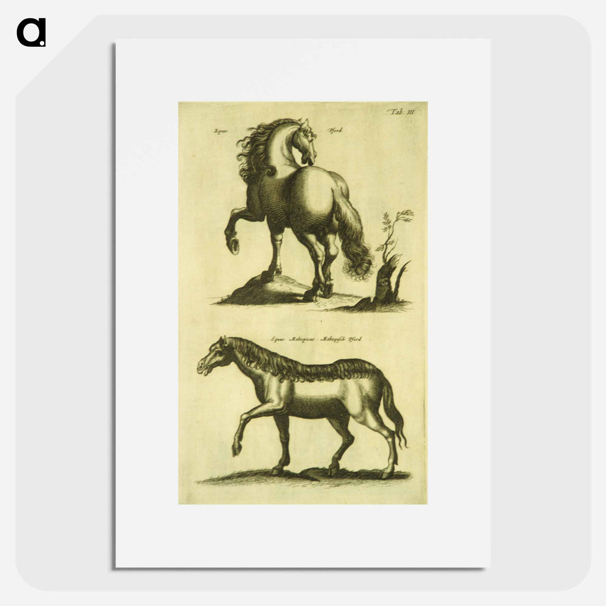 アートポスター-Herd Horses
 - 国立医学図書館 Poster.