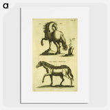 アートポスター-Herd Horses
 - 国立医学図書館 Poster.