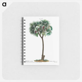 アートメモ帳-Date palm - ピエール ジョゼフ ルドゥーテ Memo.
