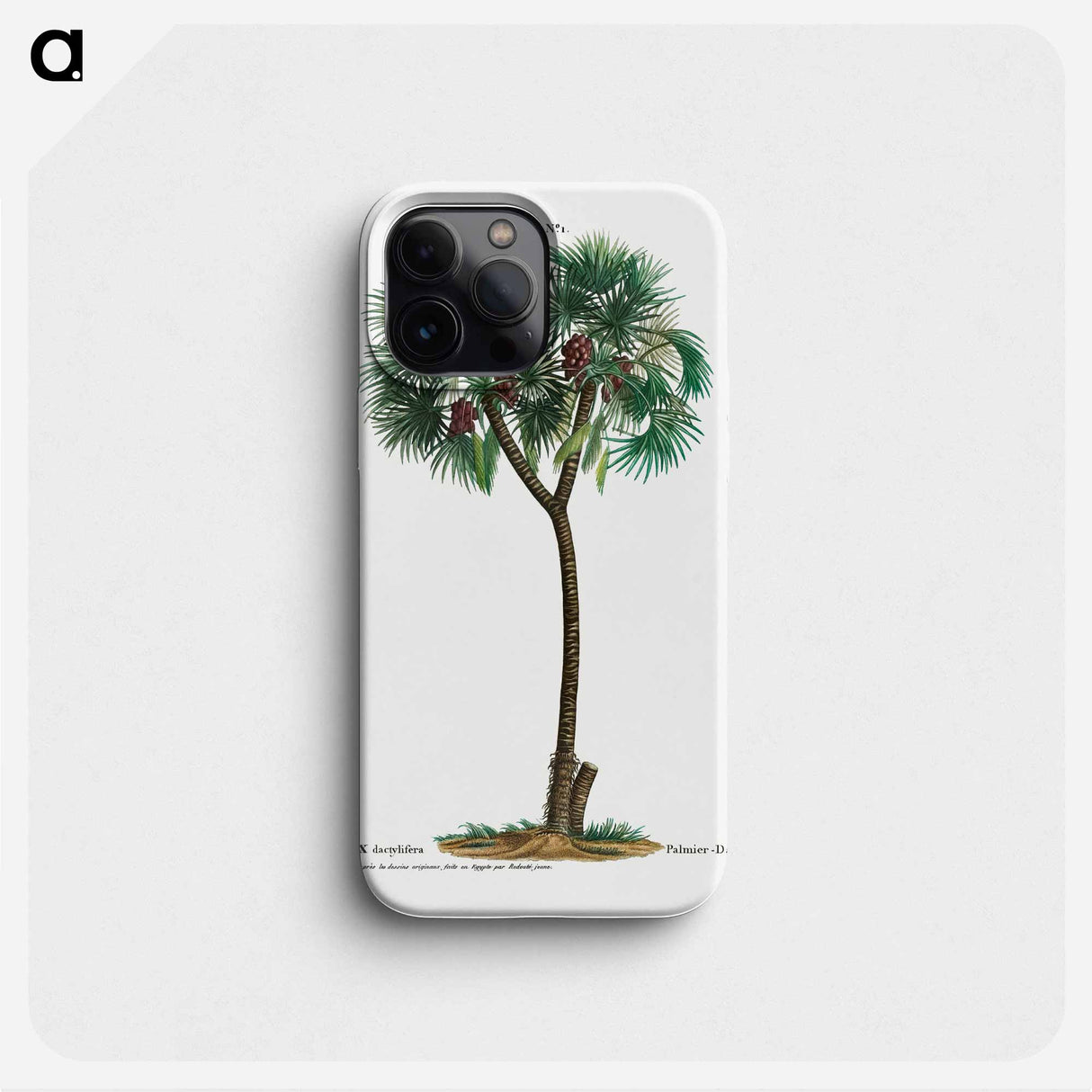 Date palm - Pierre Joseph Redouté Phone Case.