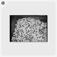 アートポストカード-Bin of Spindles
 - ラッセル リー Postcard.