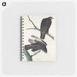 アートメモ帳-Black Warrior from Birds of America
 - アメリカの鳥たち Memo.