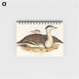 アートメモ帳-Australian Bustard
 - オーストラリアの鳥 Memo.