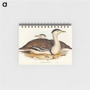 アートメモ帳-Australian Bustard
 - オーストラリアの鳥 Memo.