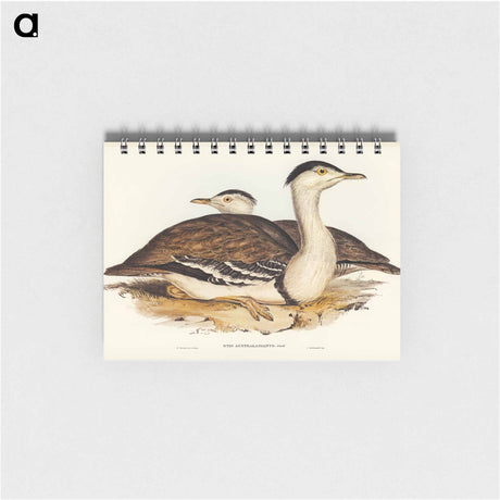 アートメモ帳-Australian Bustard
 - オーストラリアの鳥 Memo.