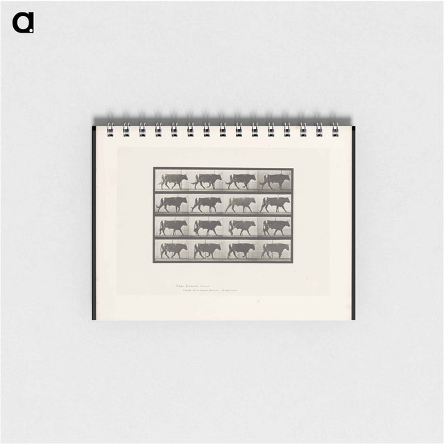 アートメモ帳-Bull Walking
 - エドワード マイブリッジ Memo.
