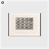 アートポストカード-Bull Walking
 - エドワード マイブリッジ Postcard.