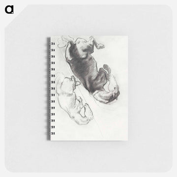 Studies for 
