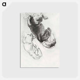 アートポストカード-Studies for "The Fall of Gog and Magog" by John Singer Sargent - ジョン シンガー サージェント Postcard.