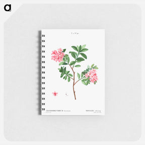 アートメモ帳-Rhododendron hirsutum - ピエール ジョゼフ ルドゥーテ Memo.