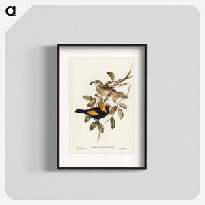 オーストラリア