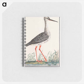 アートメモ帳-Redshank - アンセルムス ボエティウス デ ブート Memo.