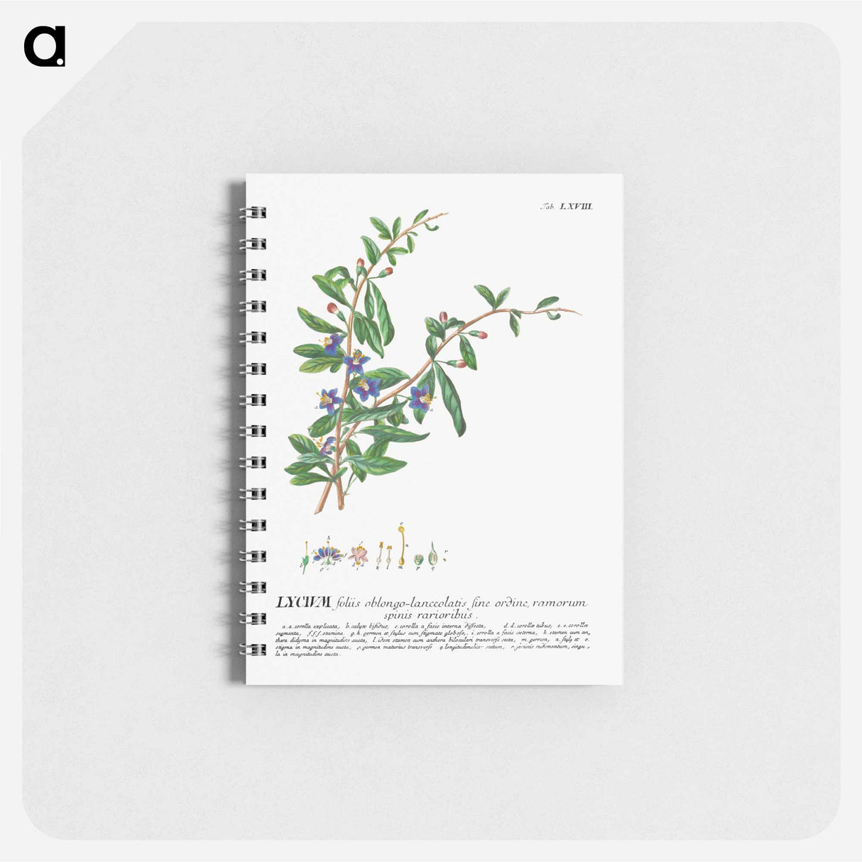 アートメモ帳-Lycium or Box-thorn
 - クリーブランド美術館 Memo.