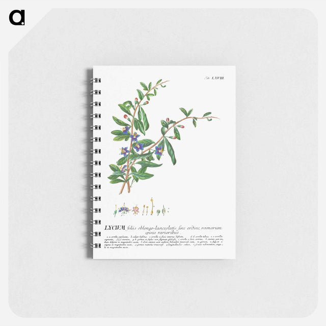 アートメモ帳-Lycium or Box-thorn
 - クリーブランド美術館 Memo.