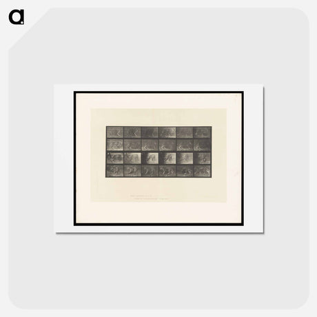 アートポストカード-Leopard Walking
 - エドワード マイブリッジ Postcard.