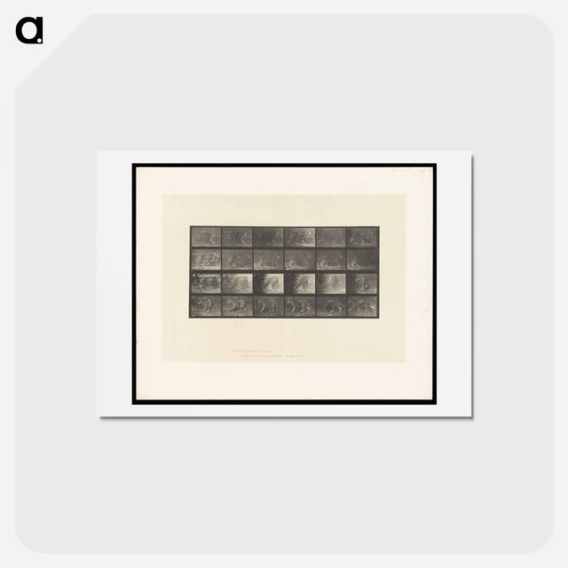 アートポストカード-Leopard Walking
 - エドワード マイブリッジ Postcard.