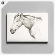 アートパネル-Head of a horse - ジャン ベルナール Canvas.