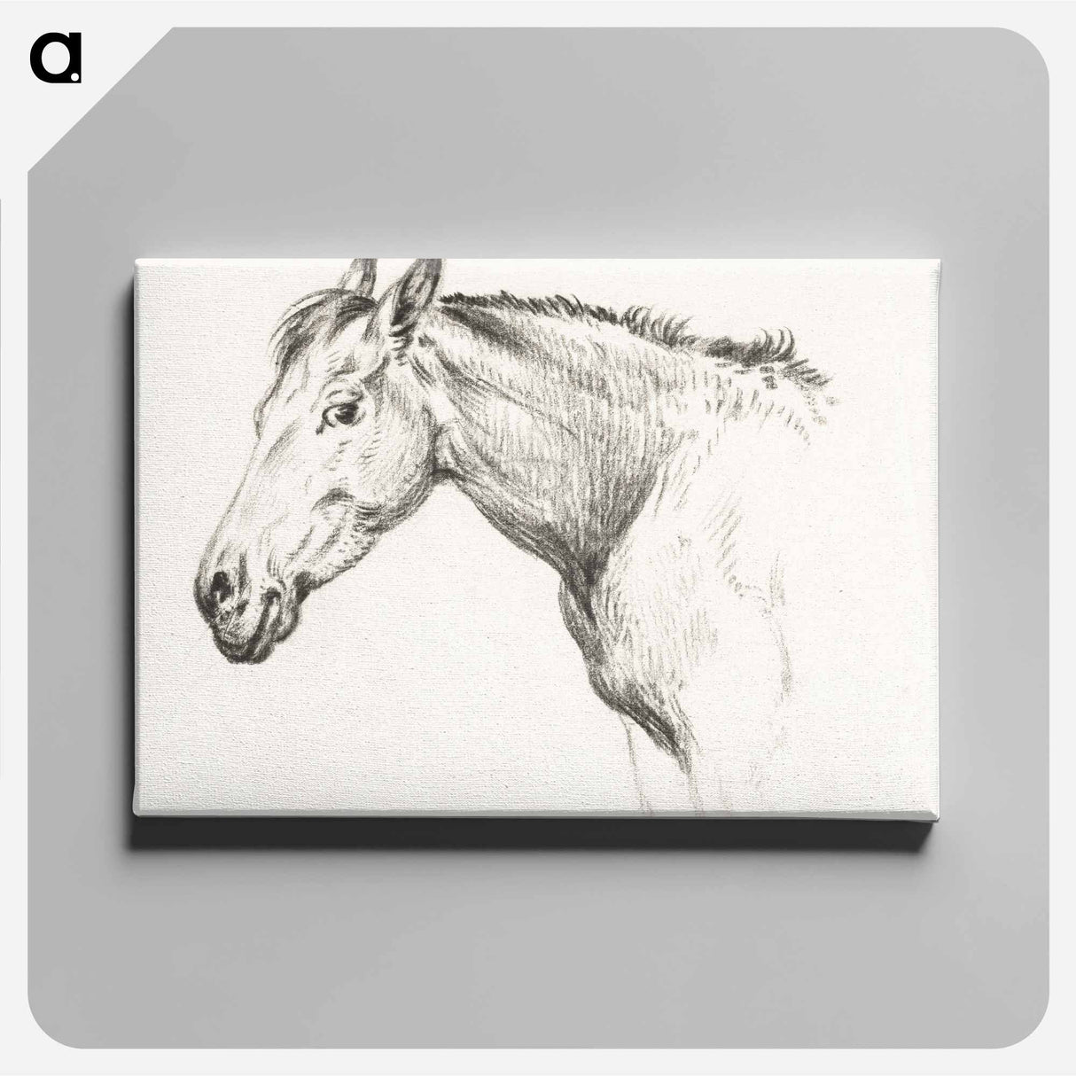 アートパネル-Head of a horse - ジャン ベルナール Canvas.